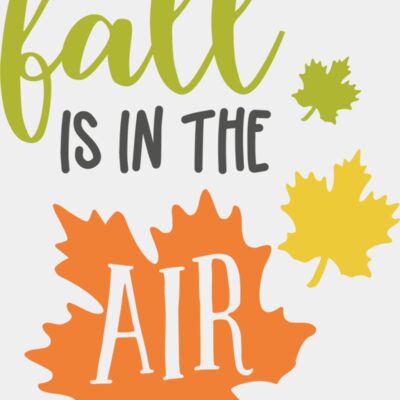 Fall Is In The Air Thumbnail