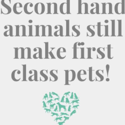 SecondHand 003 Thumbnail