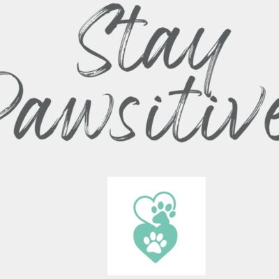 DogQuotes Pawsitive 005 Thumbnail