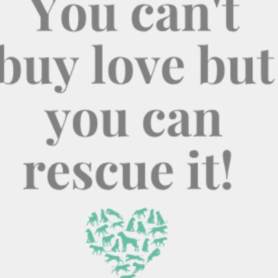 YouCantBuyLove 001 Thumbnail