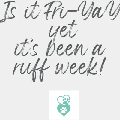 DogQuotes IsItFri 003 Thumbnail