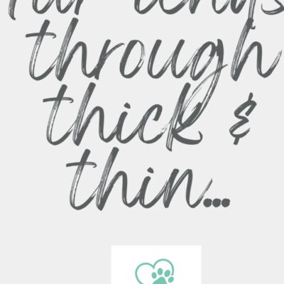 DogQuotes FurIends 002 Thumbnail