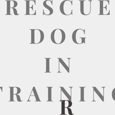 Rescue Dog In Training  Thumbnail